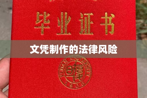 定结文凭制作的法律风险